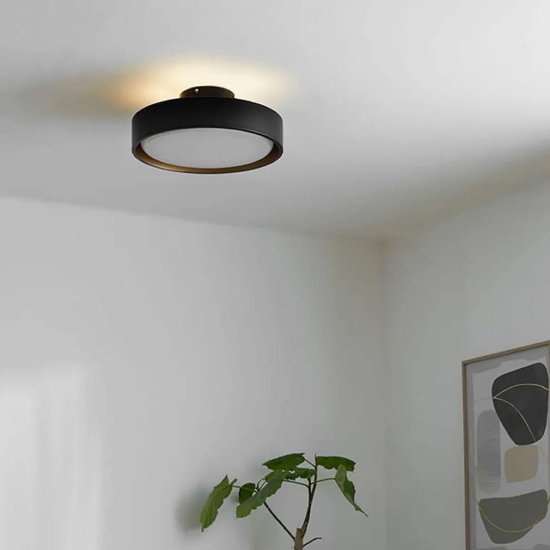 シンプルなブラックシーリングライト