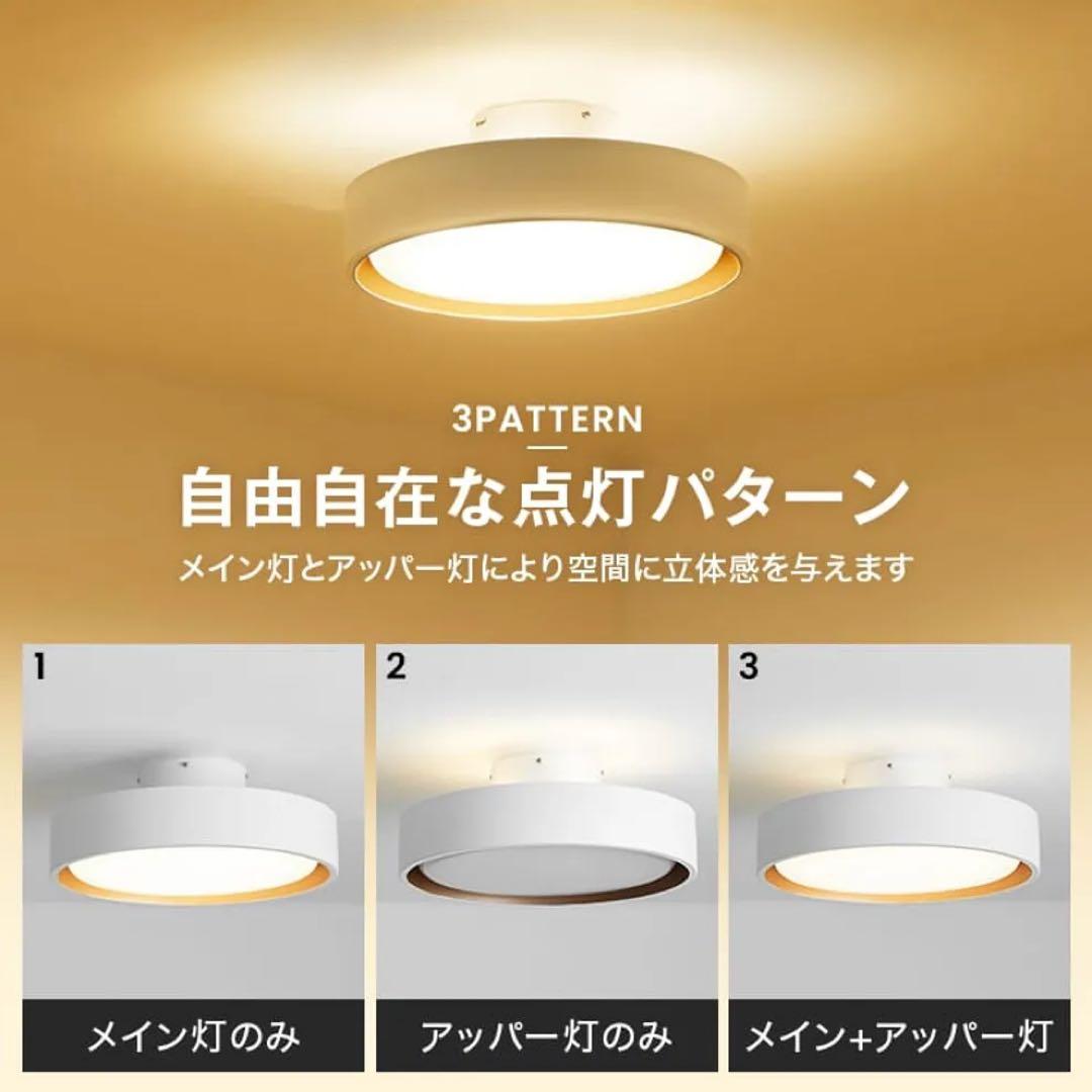 シンプルなブラックシーリングライト