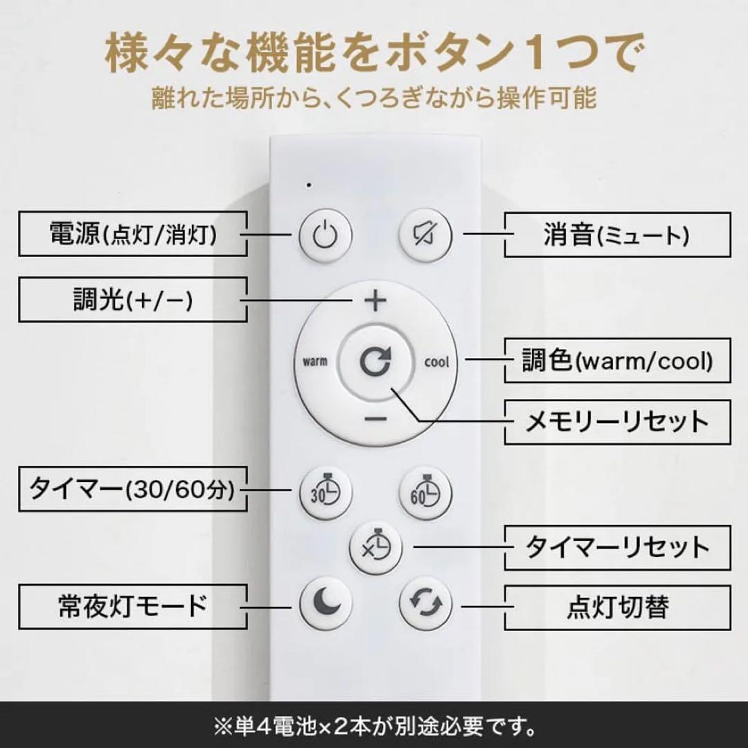 シンプルなブラックシーリングライト