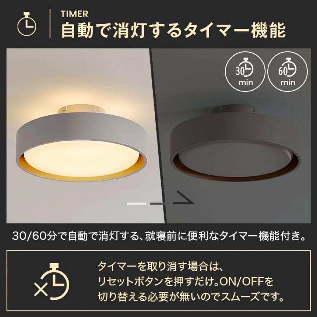 シンプルなブラックシーリングライト