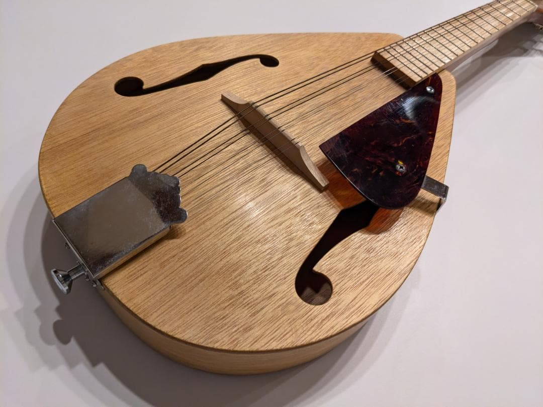 初心者用フラットマンドリン（1990年代製作）専用ハードケース付