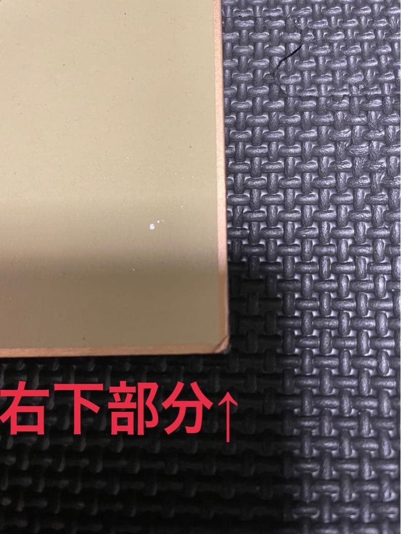 激レア完全品 ホベルト・サトシ・ソウザ サイン パーフェクトサイン