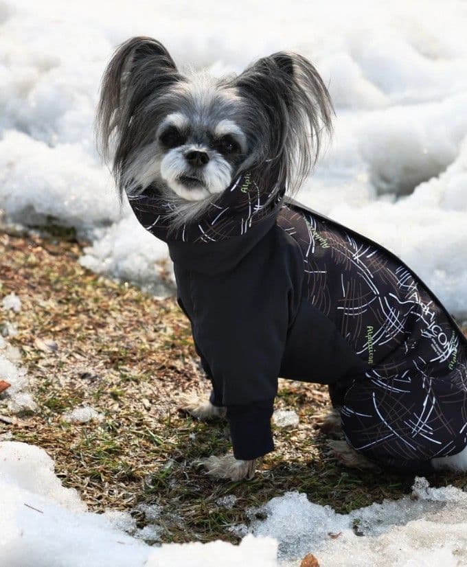 アルファアイコン　スノードックガードエアー　ALPHAICON LL