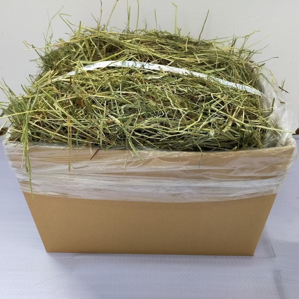 【11/30まで】US産 チモシー 50kg ２番刈り ソフトSプレミアム