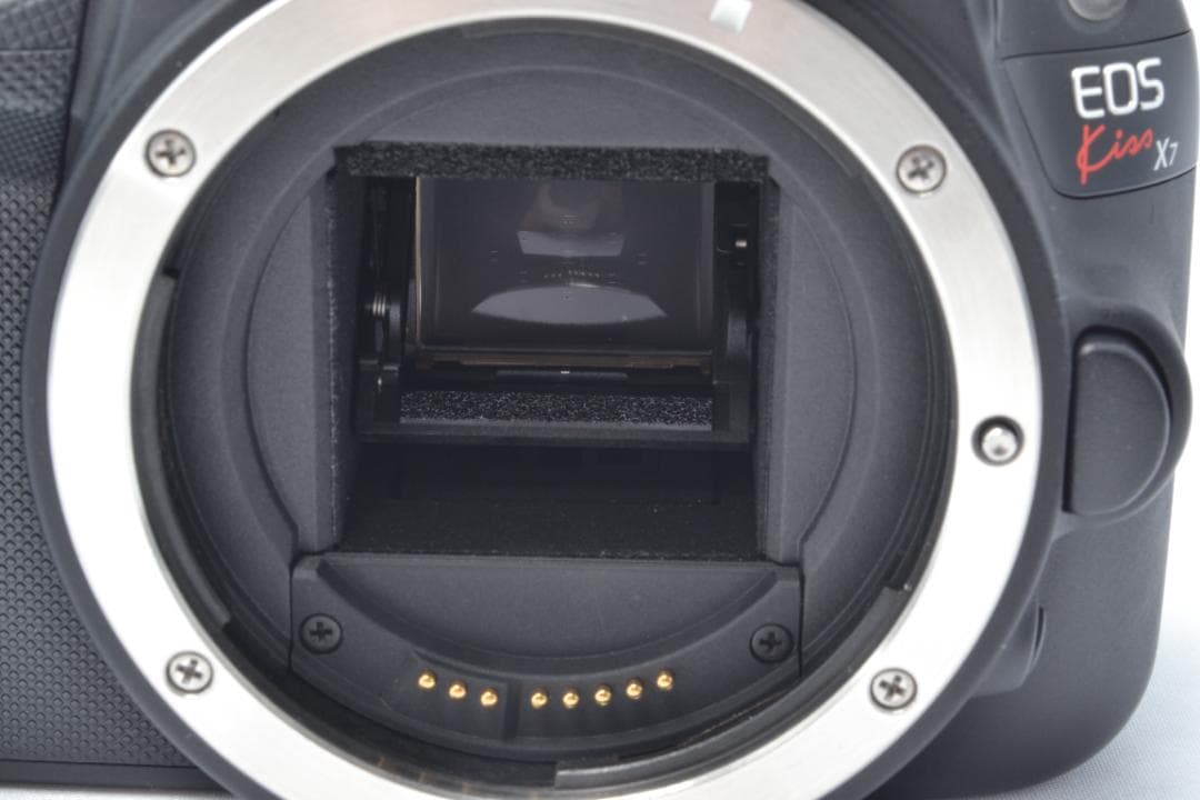 Canon EOS Kiss X7 Wレンズセット 初心者オススメ