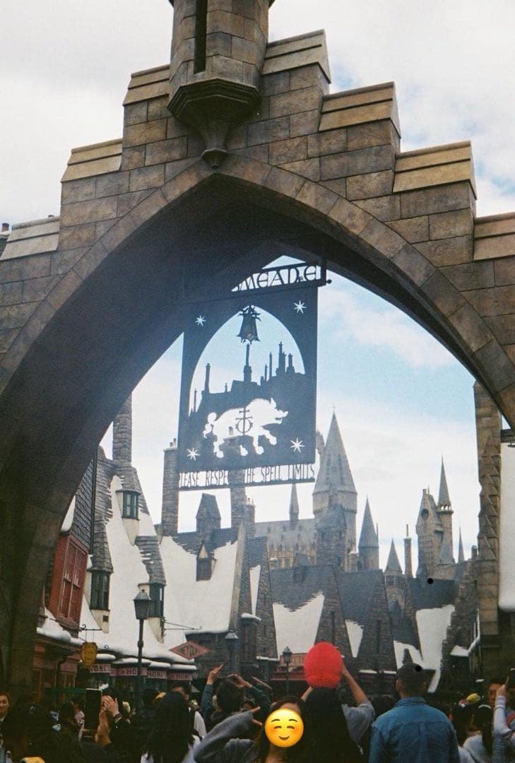 OLYMPUS PEN EES2 コンパクトフィルムカメラ 整備済み