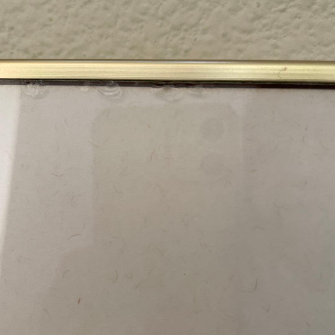 本間武男　版画[原生花園　Ⅲ] 350/49 サイン入り