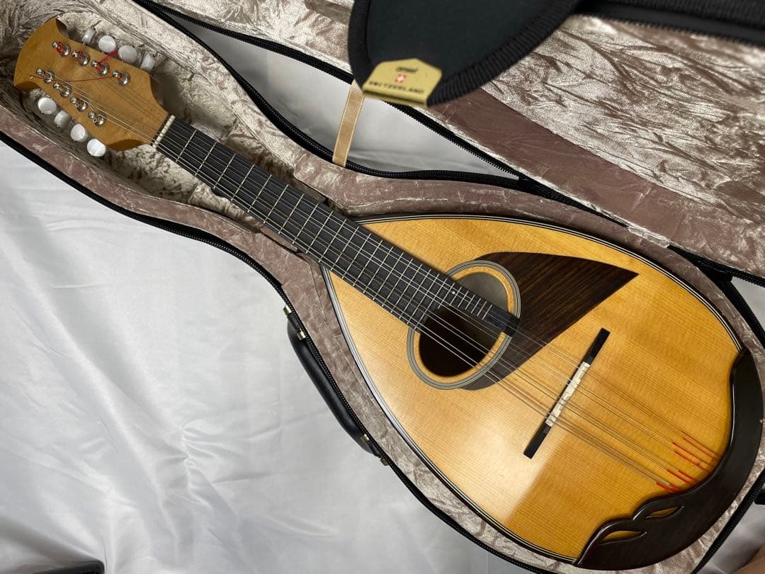 嶋田/エンジェルマンドリン モデル:BN