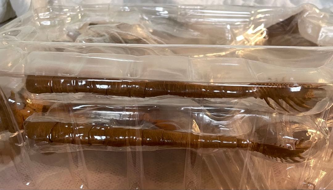 【S.H.MonsterArts キングギドラ2019 モンスターアーツ】