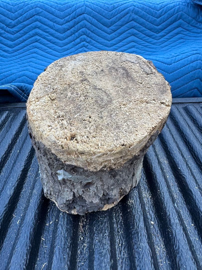 ベトナム材　VN材　13cm×15cm 産卵木