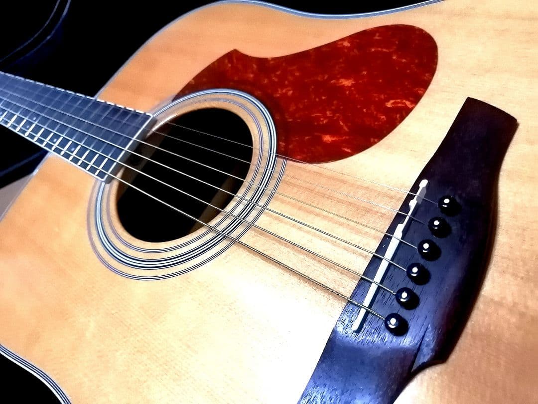 ★エレアコ★James J-450D Ova NAT★新品定価¥56,100