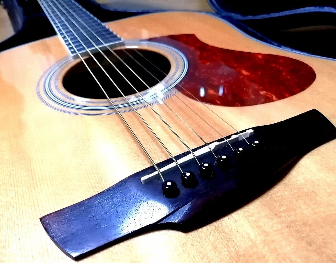 ★エレアコ★James J-450D Ova NAT★新品定価¥56,100