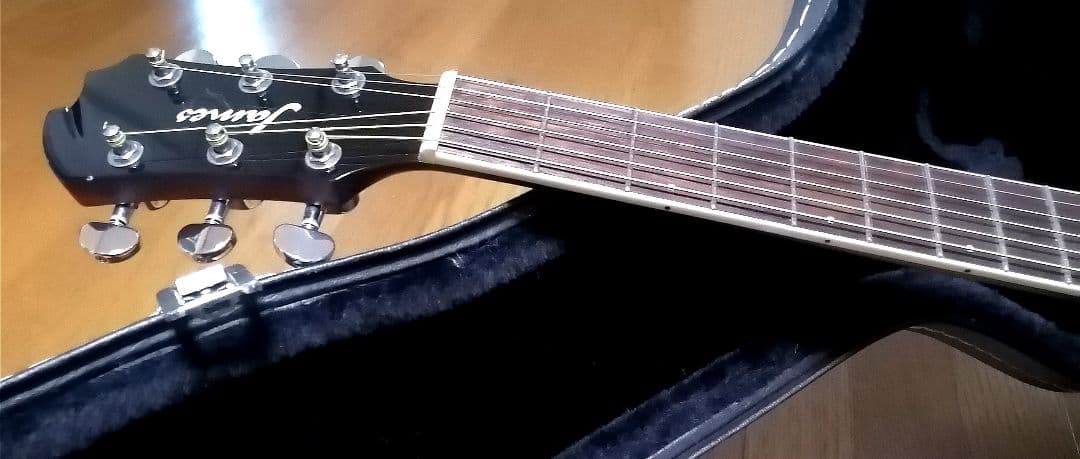 ★エレアコ★James J-450D Ova NAT★新品定価¥56,100