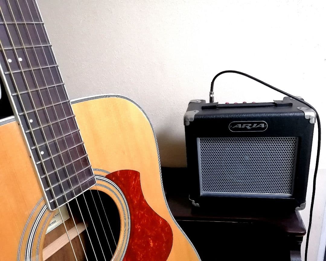 ★エレアコ★James J-450D Ova NAT★新品定価¥56,100