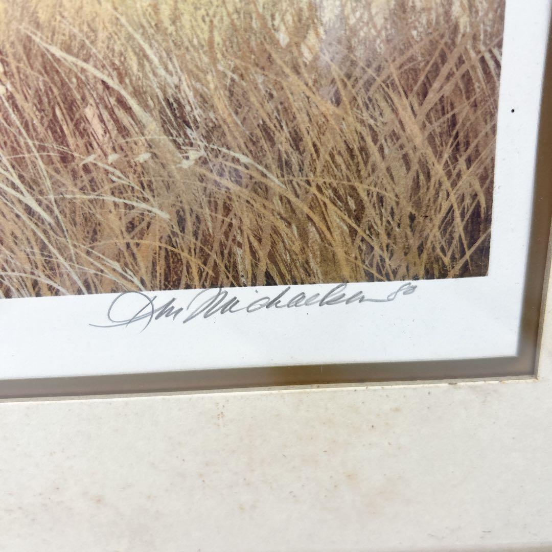 ケン・マイケルセン　オータム・ウィングス サイン入り　プリント　約70 x 50