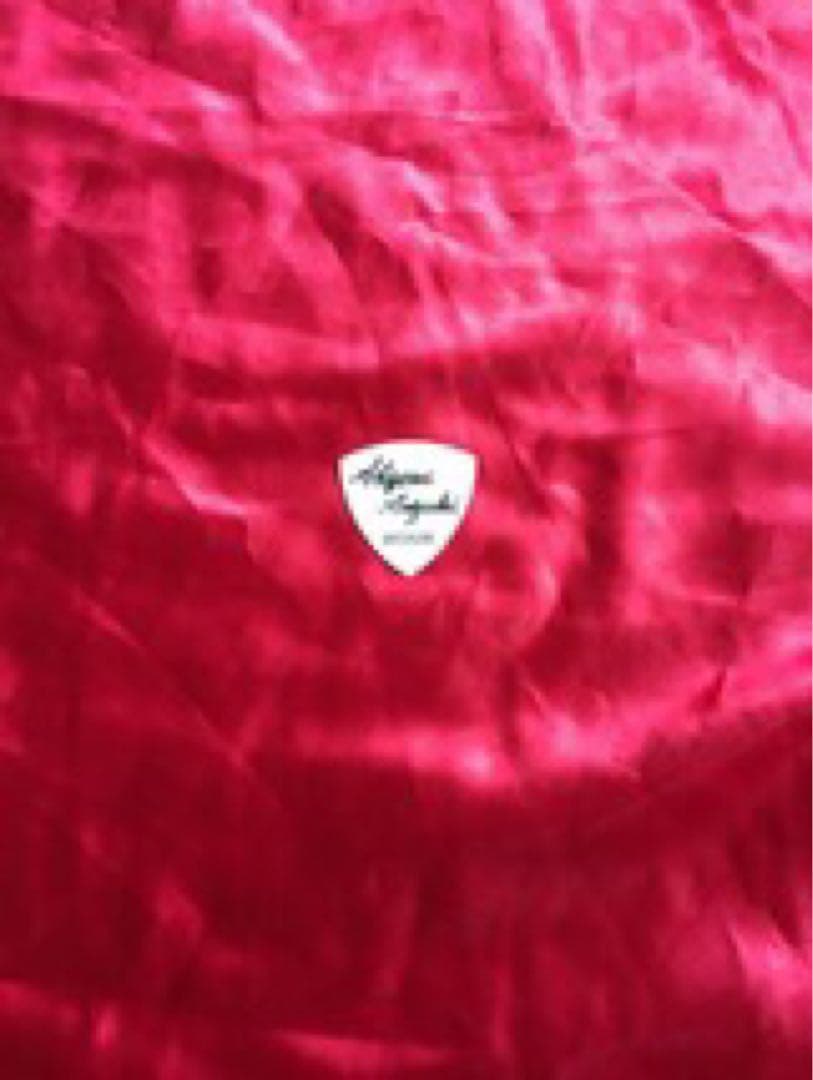 鈴木茂 Booster Amp / B-1 ★ECHOPLEX 高級ブースター