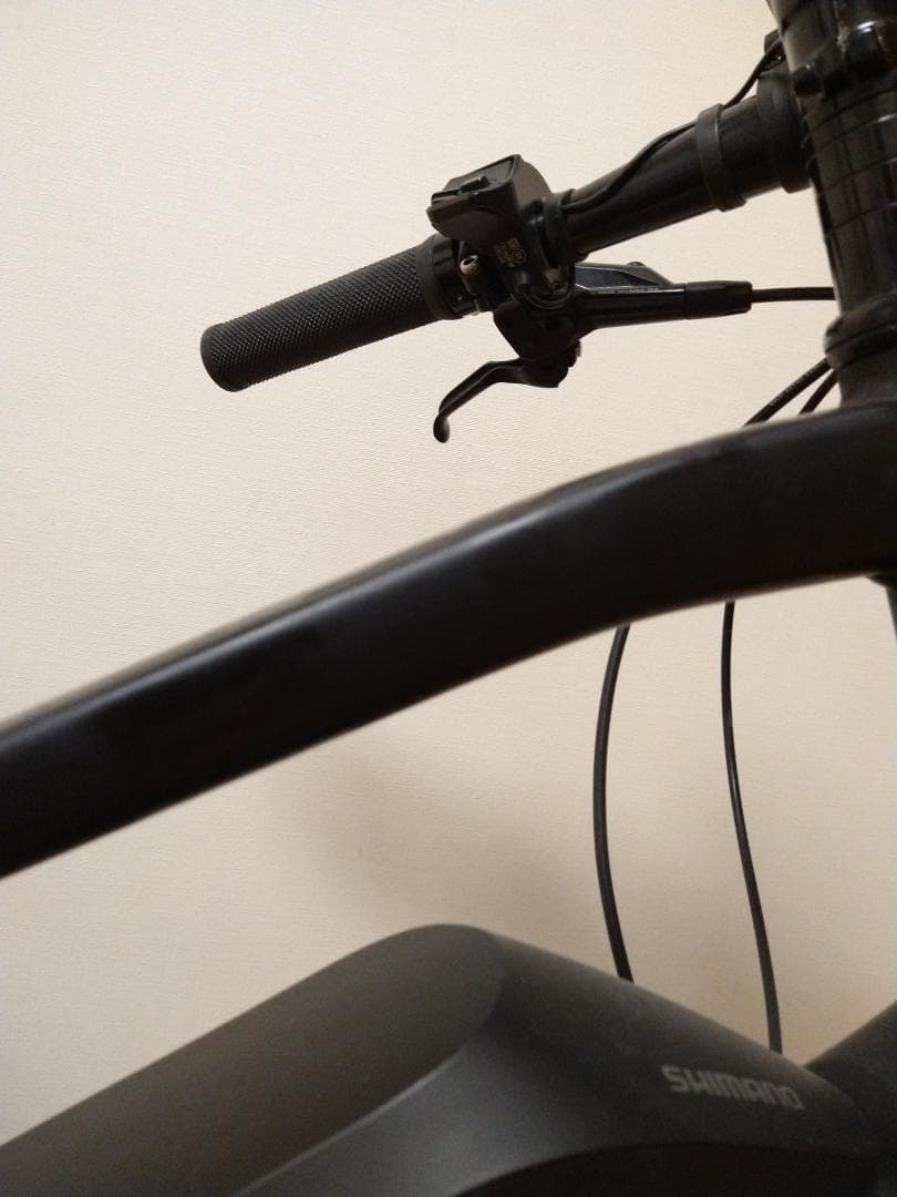 ルイガノ ASCENT e-sports