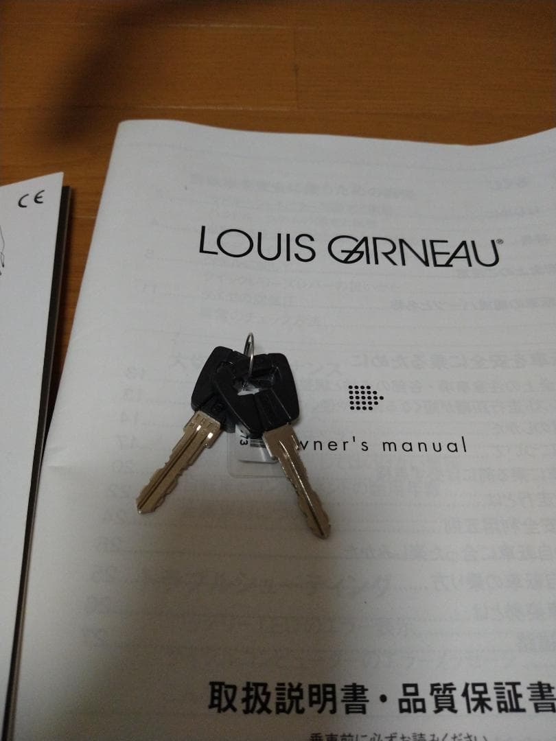 ルイガノ ASCENT e-sports