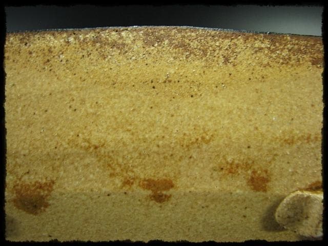 益子焼 杉本浩太郎 色絵 兎紋 角皿 茶道具  d139