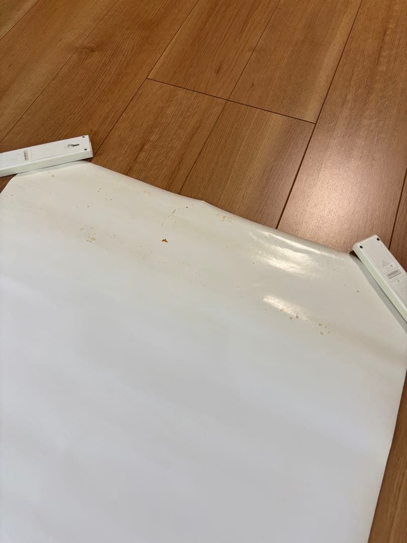 明日花キララ　ポスター　2枚　非売品