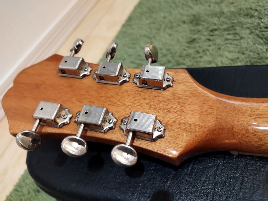 【送料込】Epiphone casino coupe NA ハードケース付