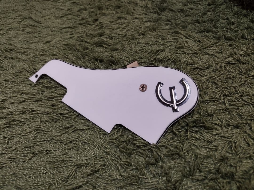 【送料込】Epiphone casino coupe NA ハードケース付