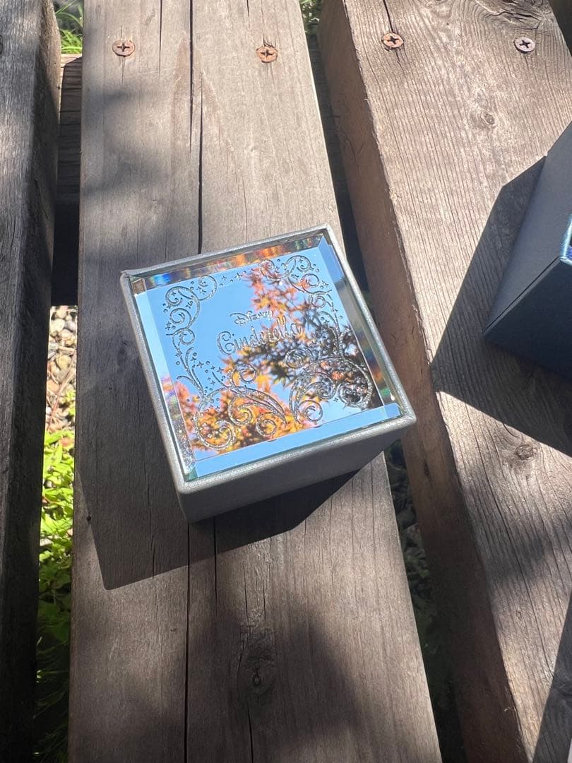 シンデレラ プラチナリング　11号ダイヤモンド プラチナ　WDL-6655