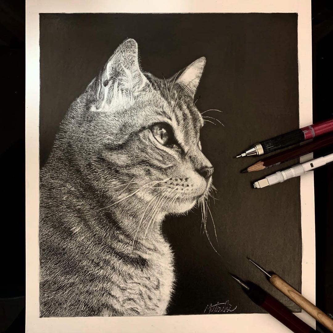 猫 鉛筆画