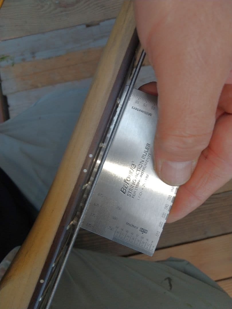 ベース tig tuned bass Selva SEB2020sp