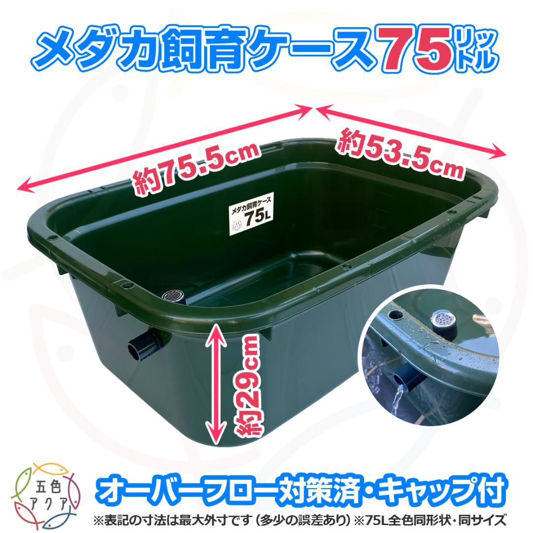 メダカ飼育ケース 75㍑x5個 黒・深緑あり オーバーフロー メダカ飼育容器