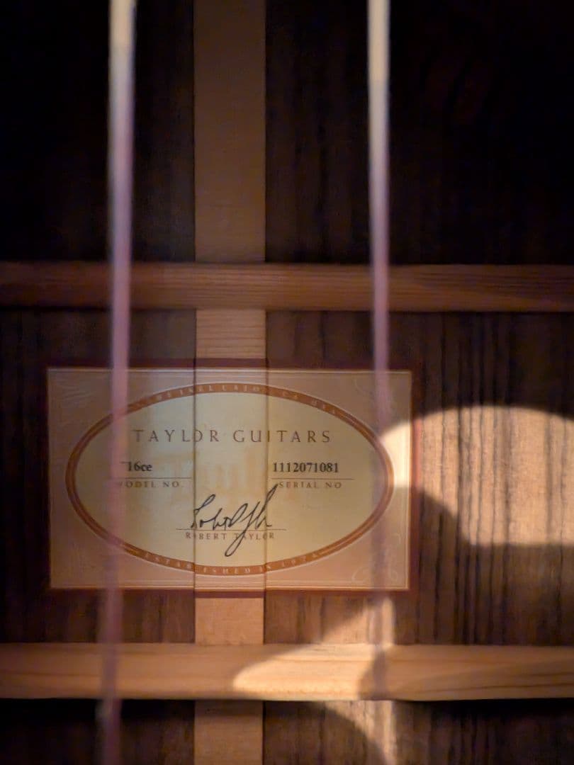 Taylor Guitar テイラー 716ce エレアコ 中古激鳴り