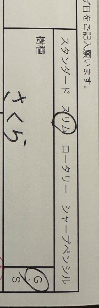 野原工芸　さくら　スリムボールペン