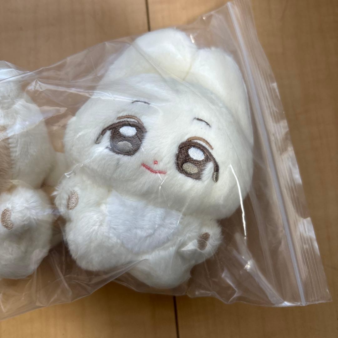 SEVENTEEN スンチョル ジョンハン　10センチドール マスター