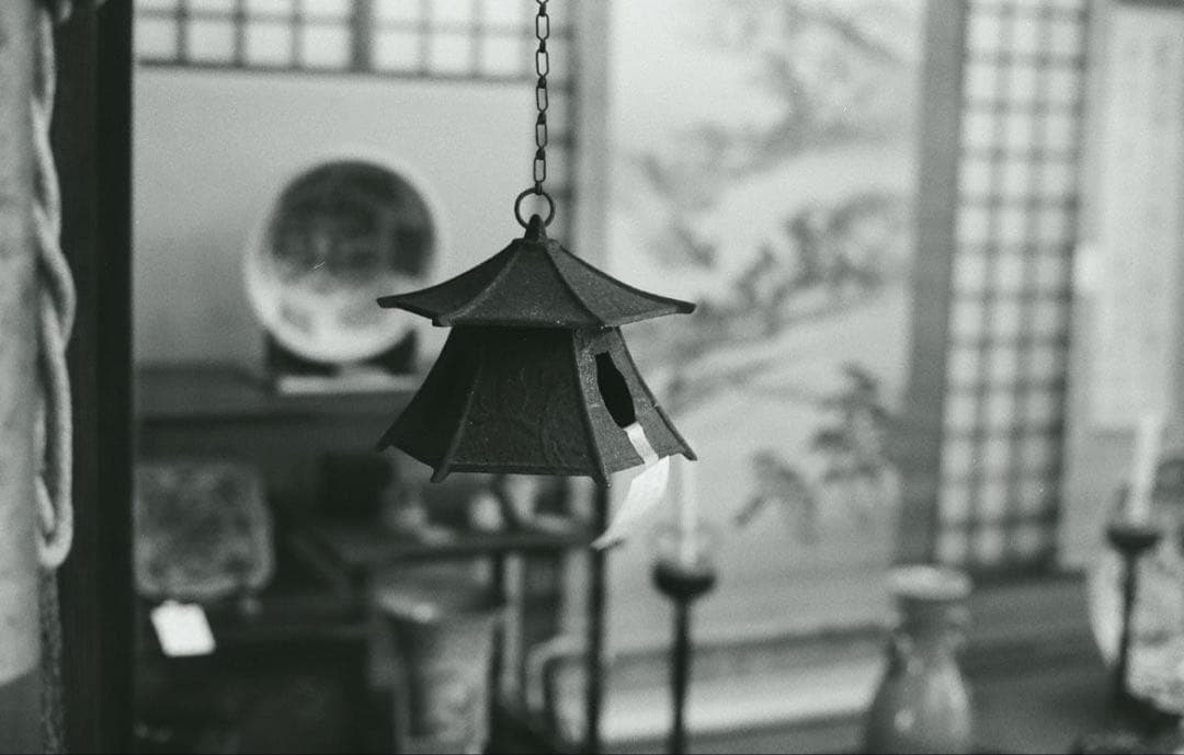 ⭐️超美品・Nikomat FTN・作例有り⭐️