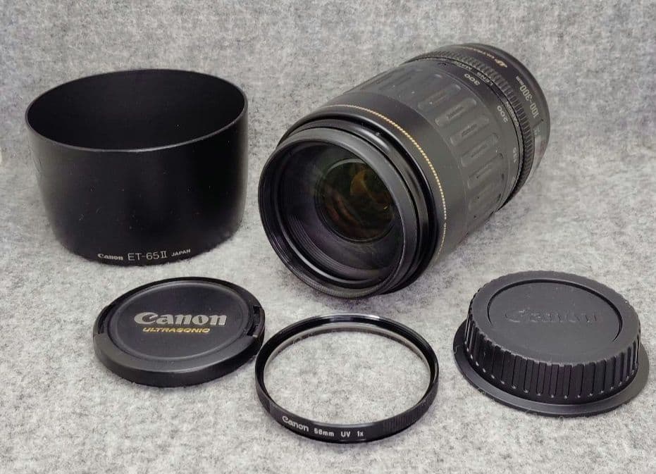 キヤノン　EF100-300mm F4.5-5.6 USM 望遠ズームレンズ