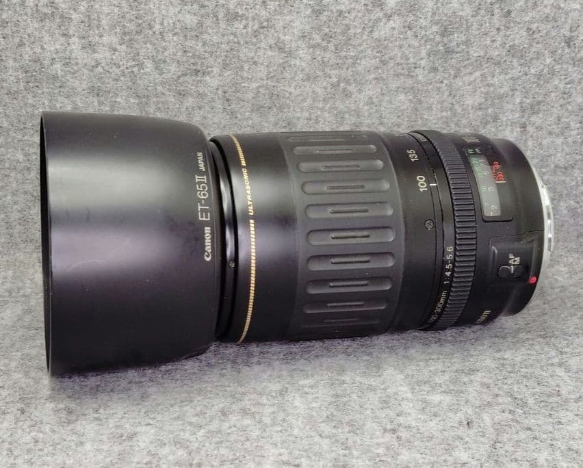 キヤノン　EF100-300mm F4.5-5.6 USM 望遠ズームレンズ