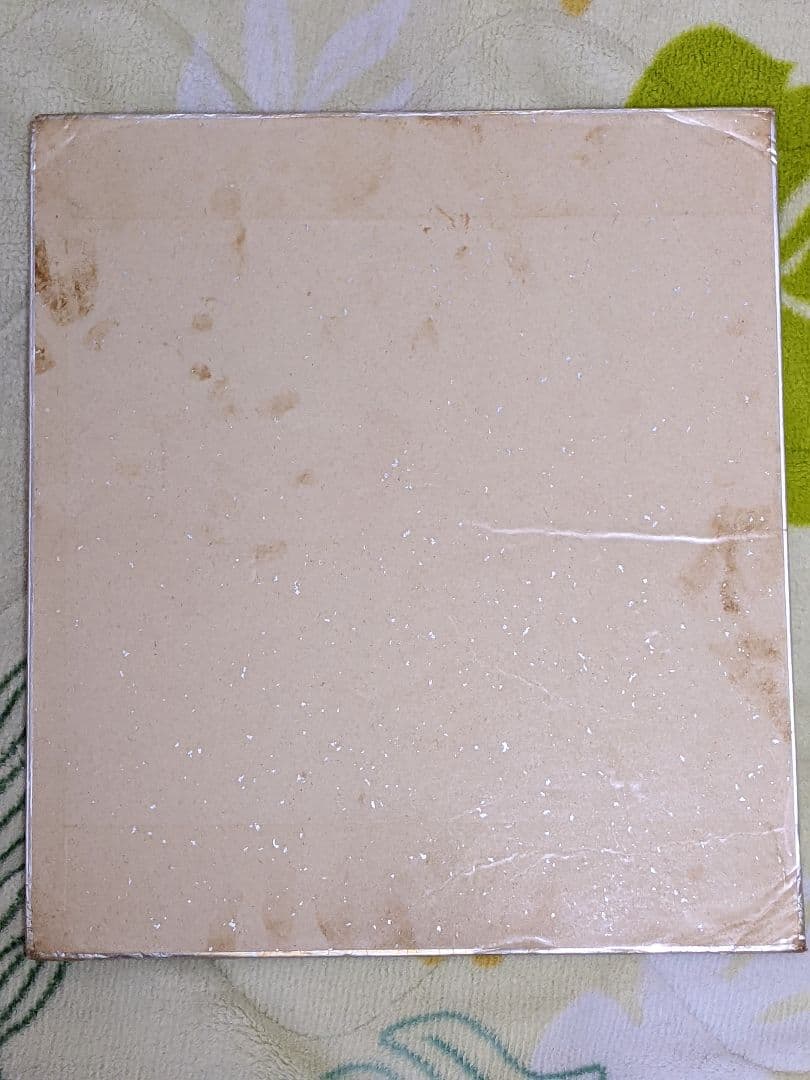 尾崎 豊 直筆サイン色紙