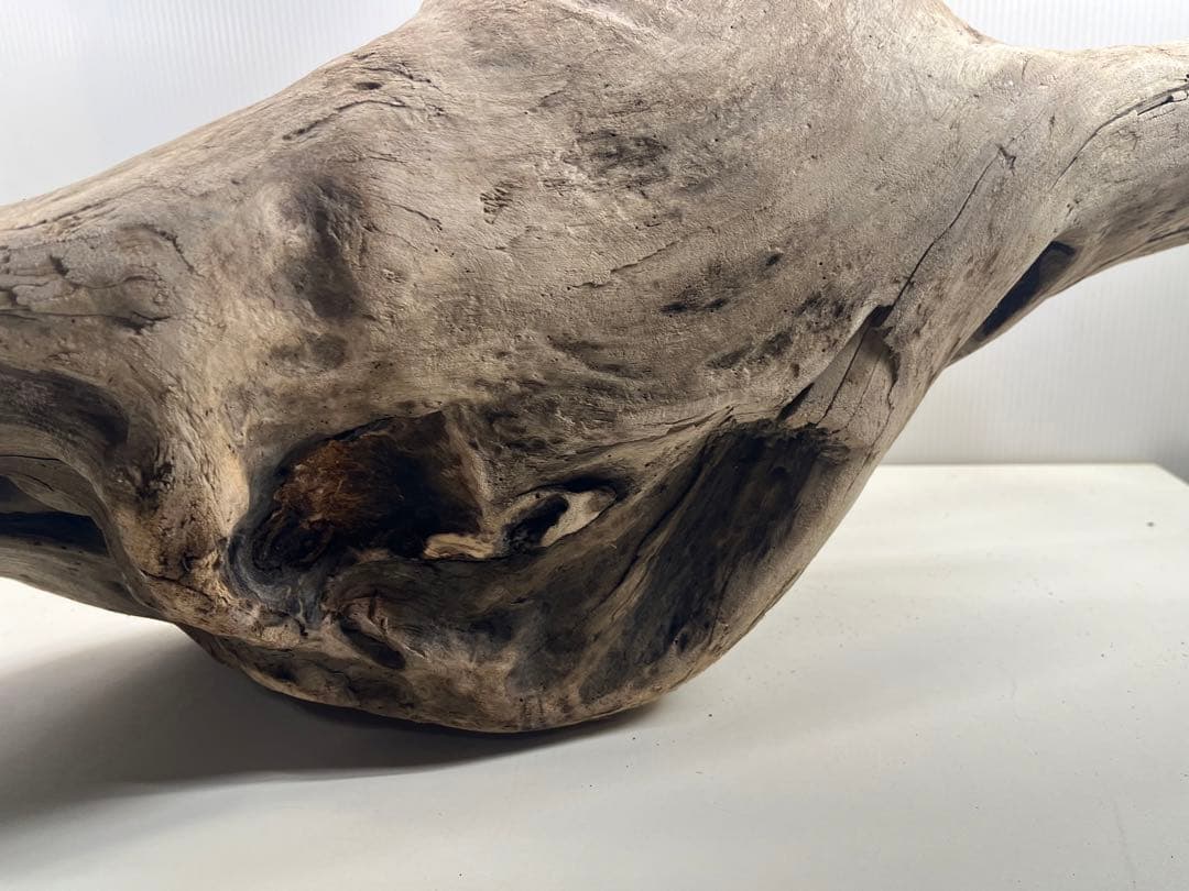 W29特大流木 アク抜き済み流木 爬虫類シェルター 登り木 インテリア 生け花