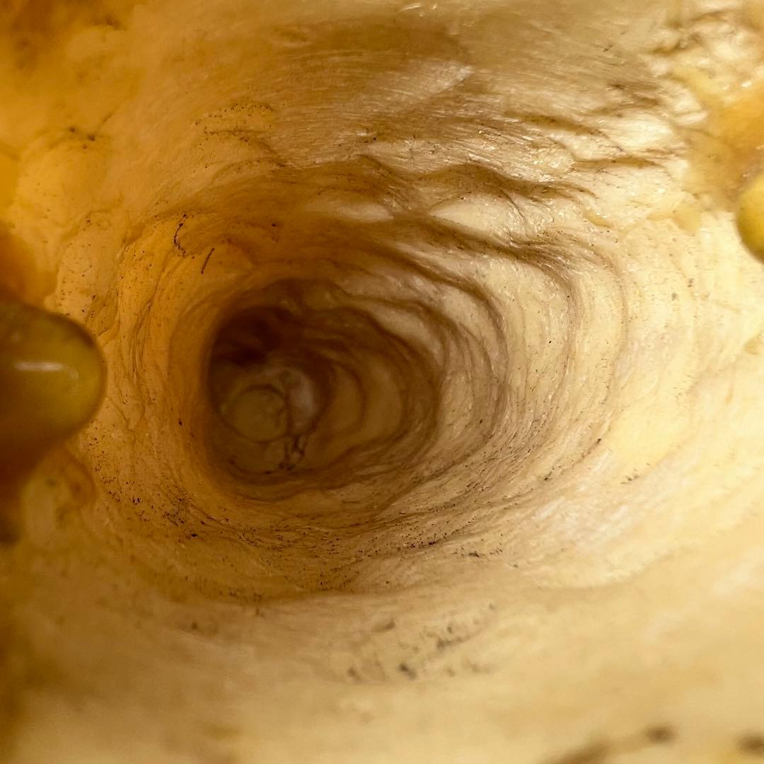 マッコウ鯨　115g 東K8-0112☆2F