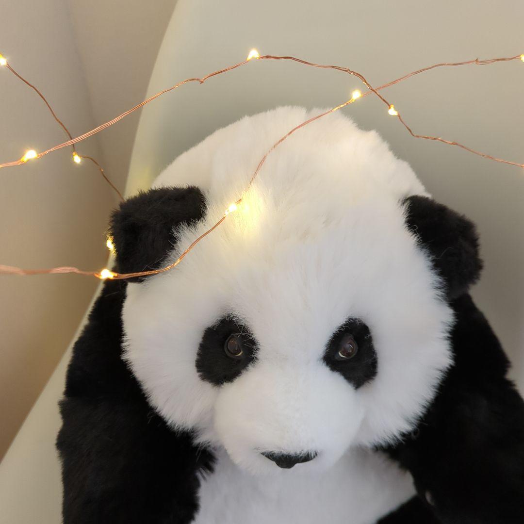 中国 パンダ リアル ぬいぐるみ フワフワ 新品 動物園 赤ちゃん アートドール