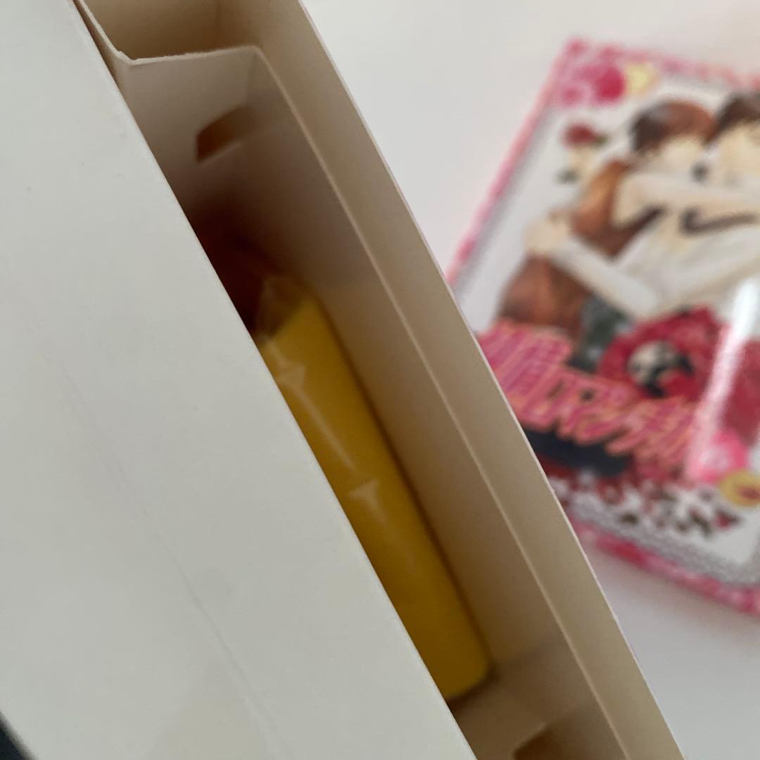 純情ロマンチカ 純ロマ DVD 限定版 1～6 セット