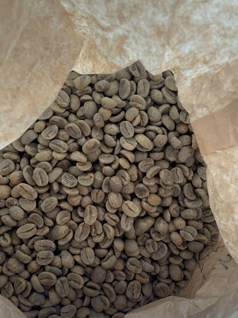 コーヒー生豆　約3. 6Kg ハンドピック済み