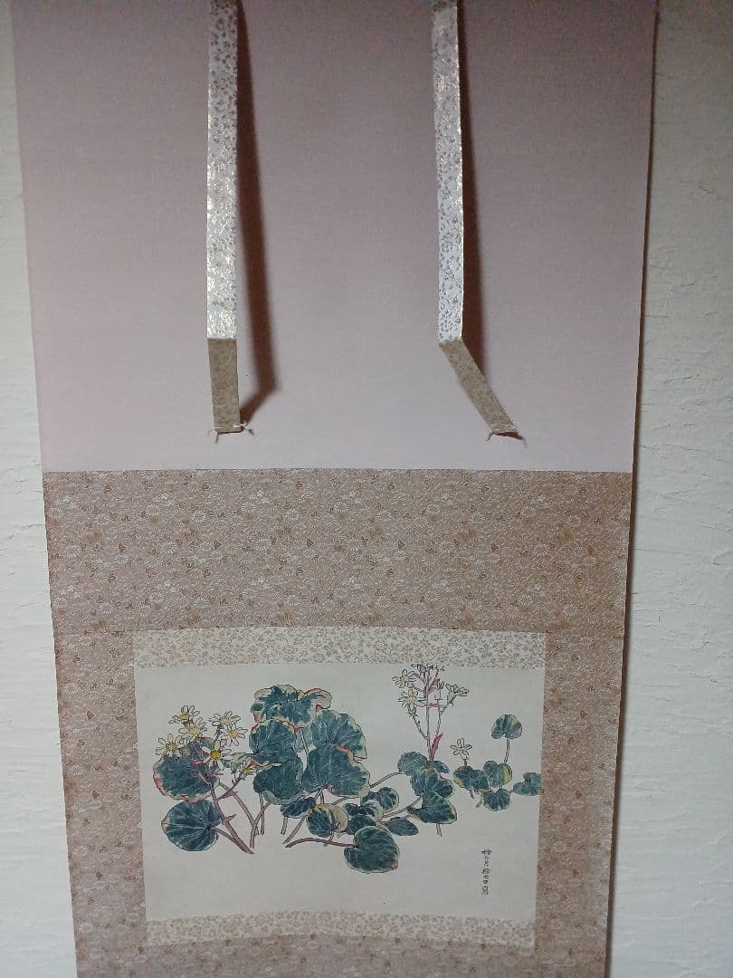 江戸屋の原画　掛け軸　1265x570mm E817 石蕗　つわぶき図　作者不詳