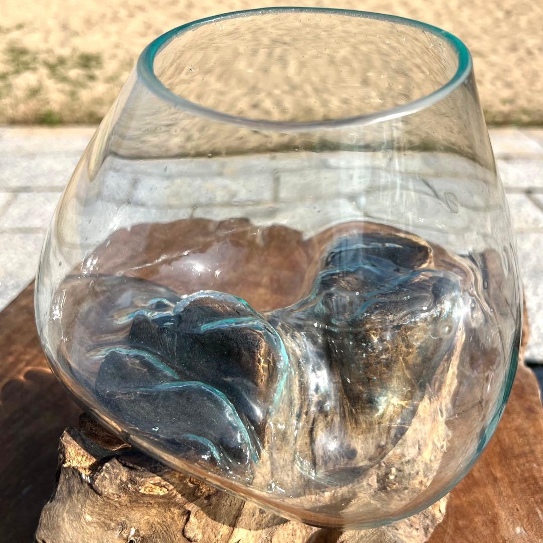 流木ガラスオブジェ大F 花瓶 金魚鉢 ガーデニング フラワーポット 水槽 アート