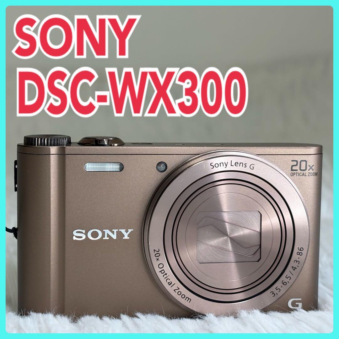 SONY カメラ　DSC-WX300 充電器　ブラウン　コンデジ　動作品