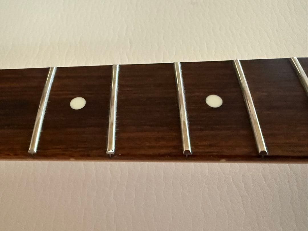 Bill Lawrence BCOR シャケモデル