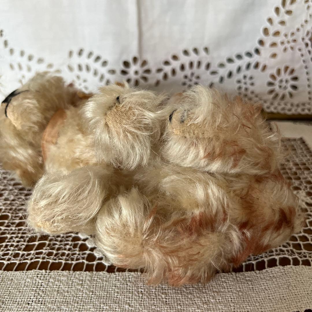 シュタイフ　犬のぬいぐるみ　Molly Puppy Steiff タグボタン有