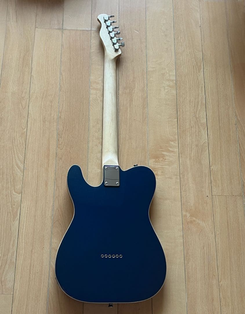 ギター Bacchus universe tele BTC-1R/DLPB