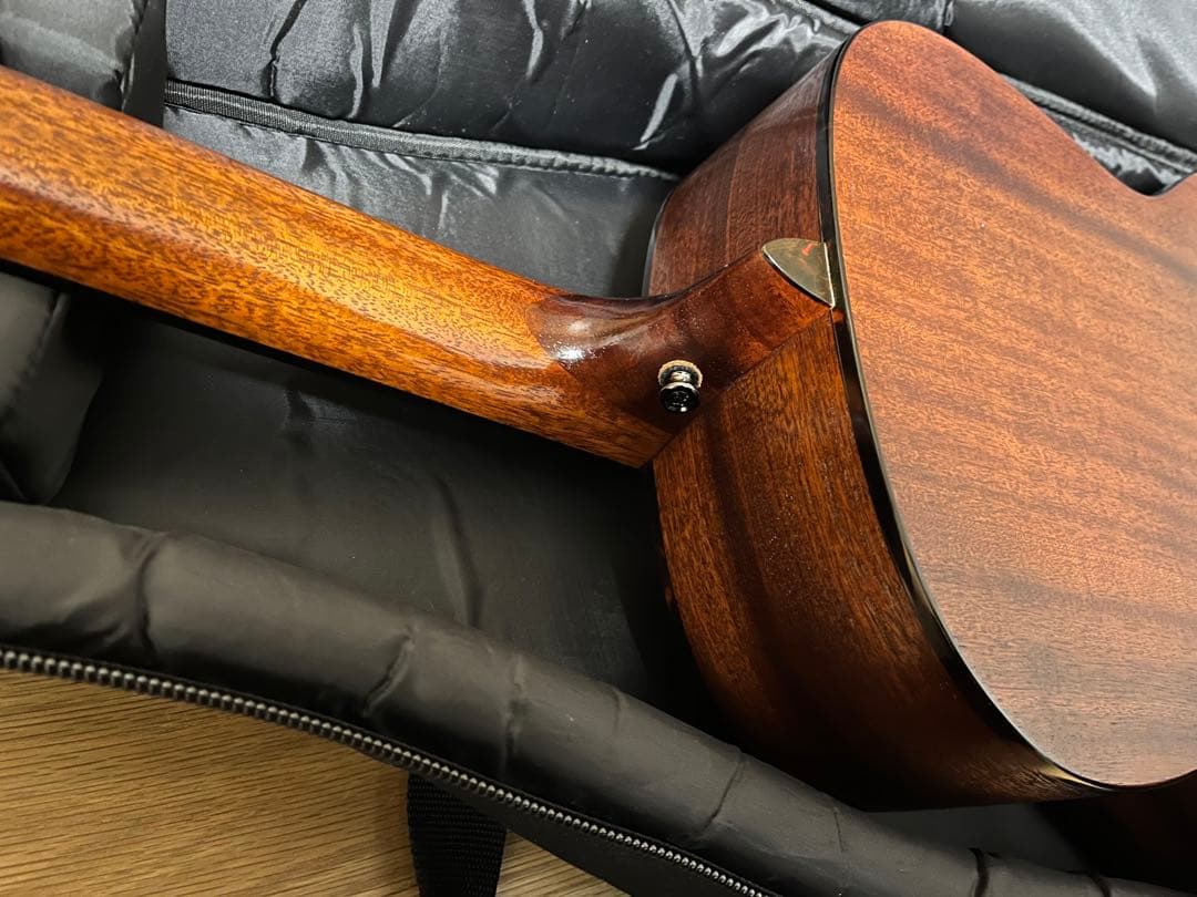 仕様変更★ Eastman E1-00SS★オール単板★調整済み