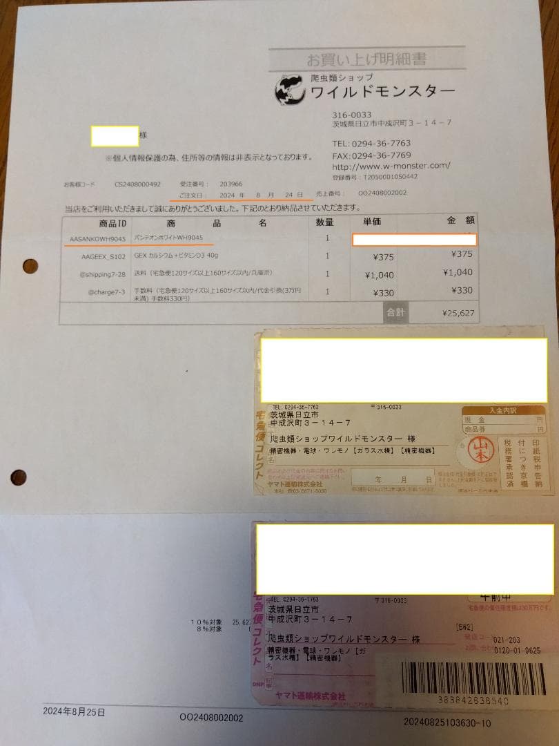 【美品】パンテオンホワイトWH9045（付属品完備！）